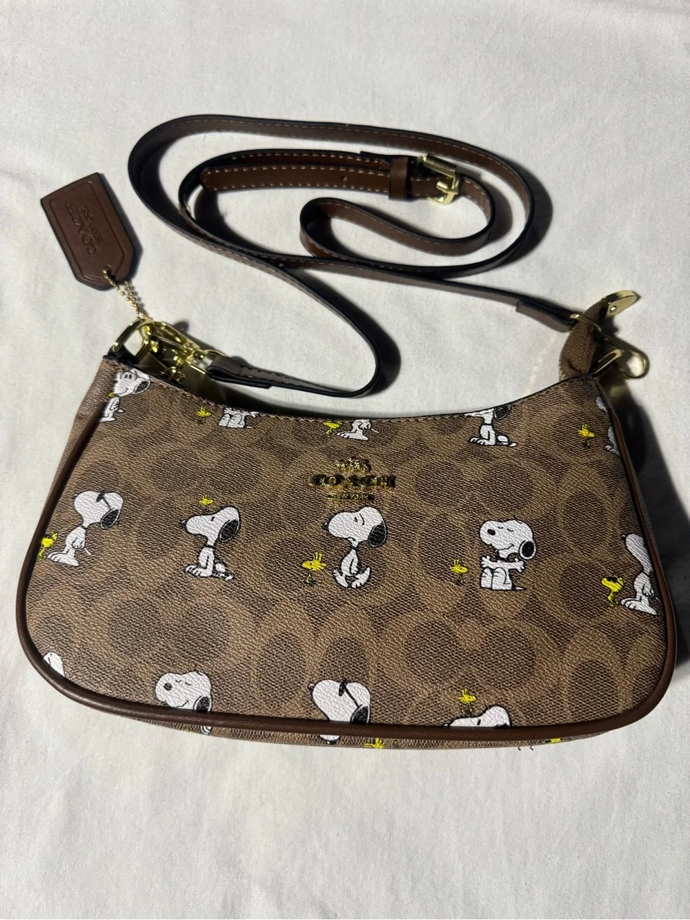 Women’s Coach x Peanuts Snoopy/ Charlie Brown purse ੯‧̀͡⬮ 🐤